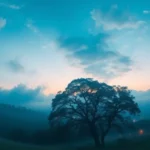 Desperte Sua Espiritualidade: Significados e Práticas Transformadoras na Umbanda